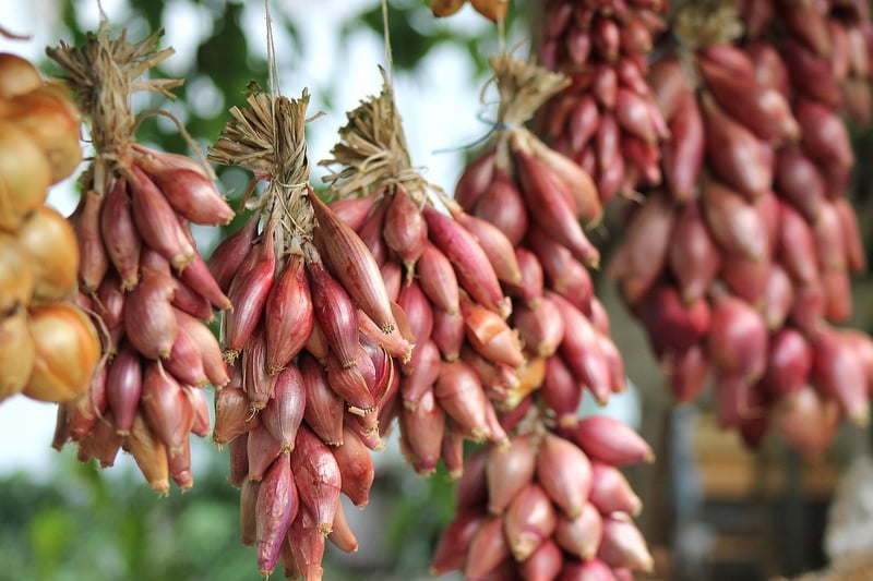 Organic Gardening Hacks